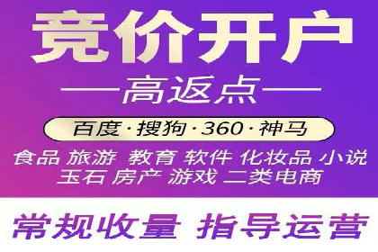百度竞价赚钱技巧：实战案例分析